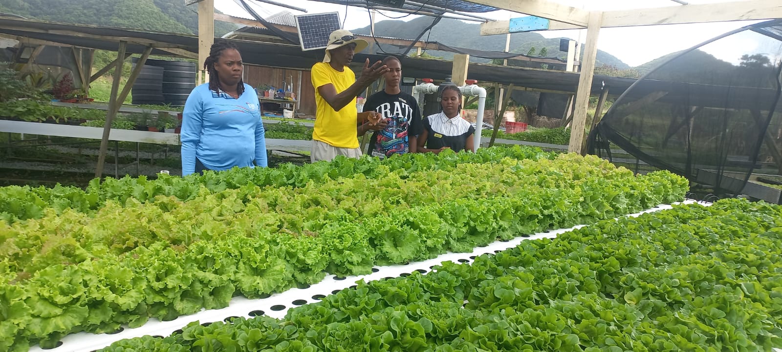 Team BUDA, helps educate individuals on the how to self-sustain and grow organic produce